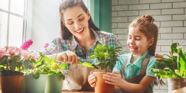 Cultiva en casa y ahorra dinero