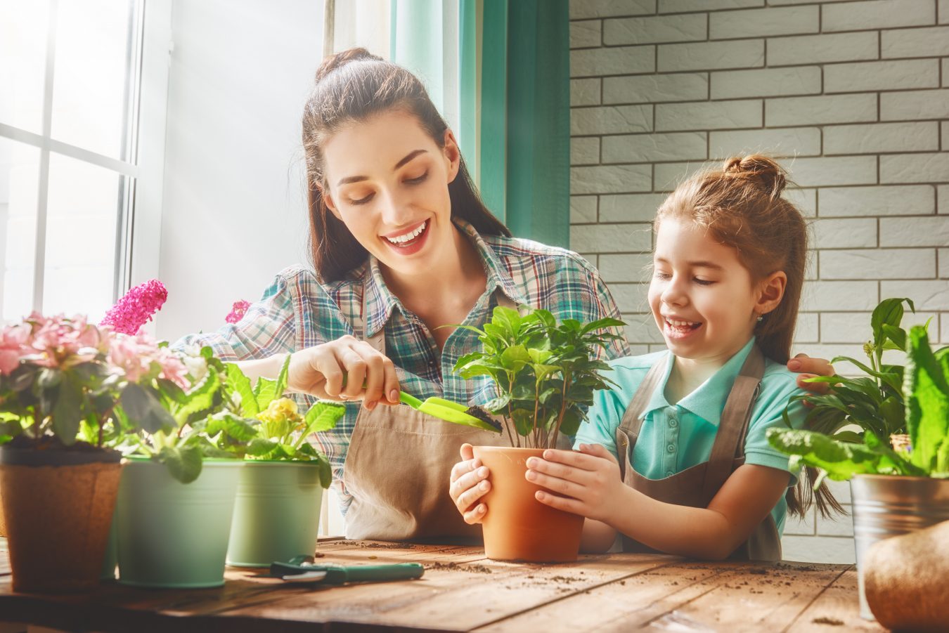 Cultiva en casa y ahorra dinero